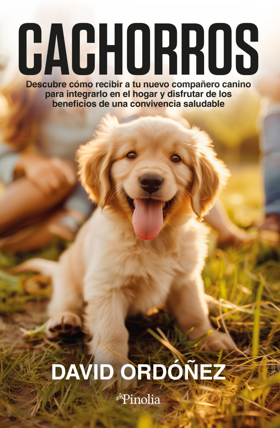 Claves para conseguir una buena convivencia y relación con tu cachorro